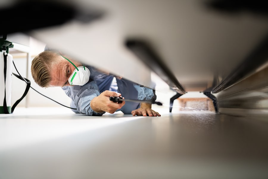 Professional pest control technician wearing a protective mask while inspecting and treating under furniture, ensuring a pest-free environment in a home or office.